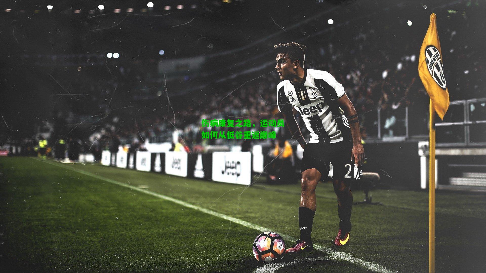 伤病康复之路，运动员如何从低谷重返巅峰