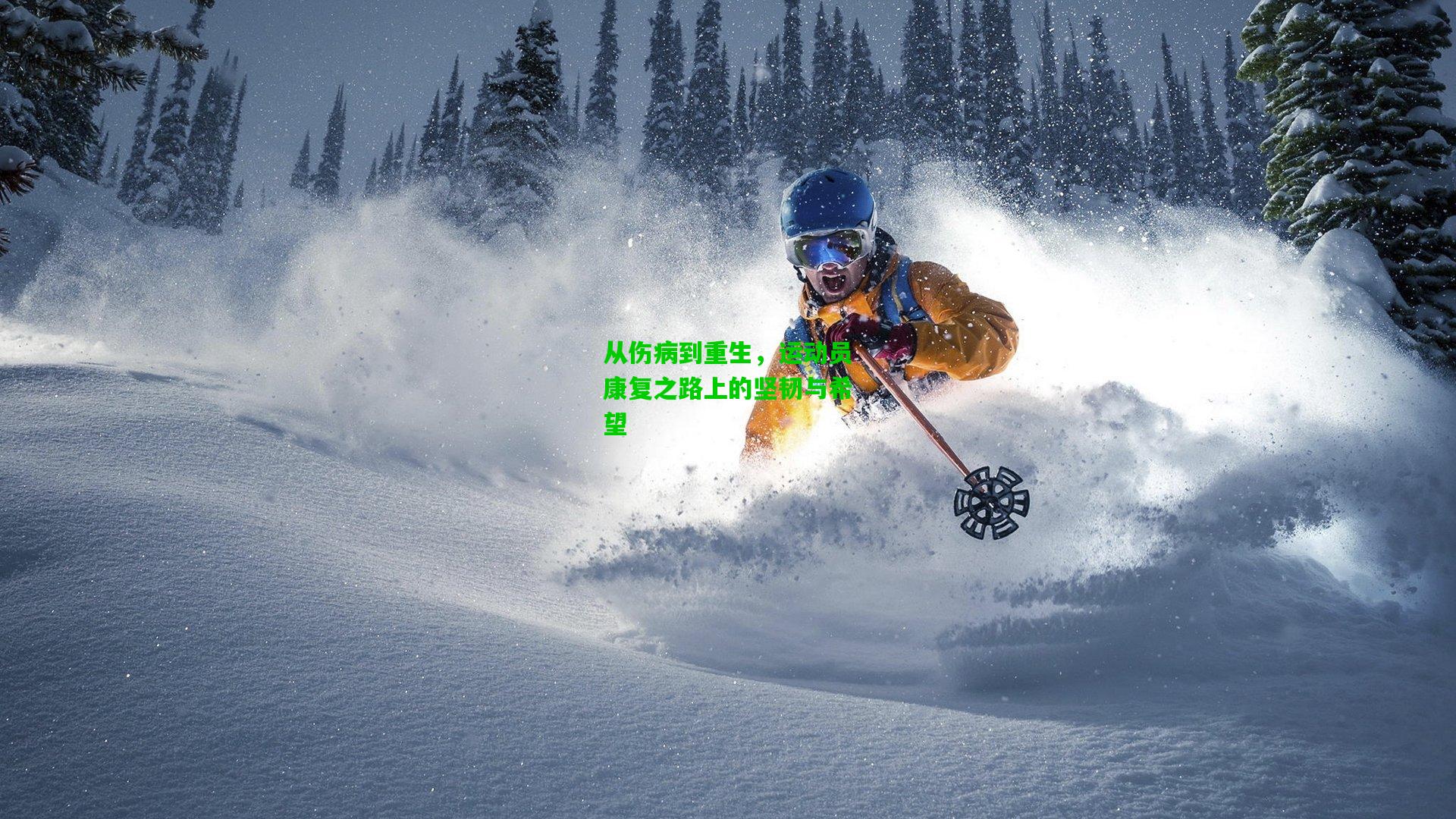 从伤病到重生，运动员康复之路上的坚韧与希望