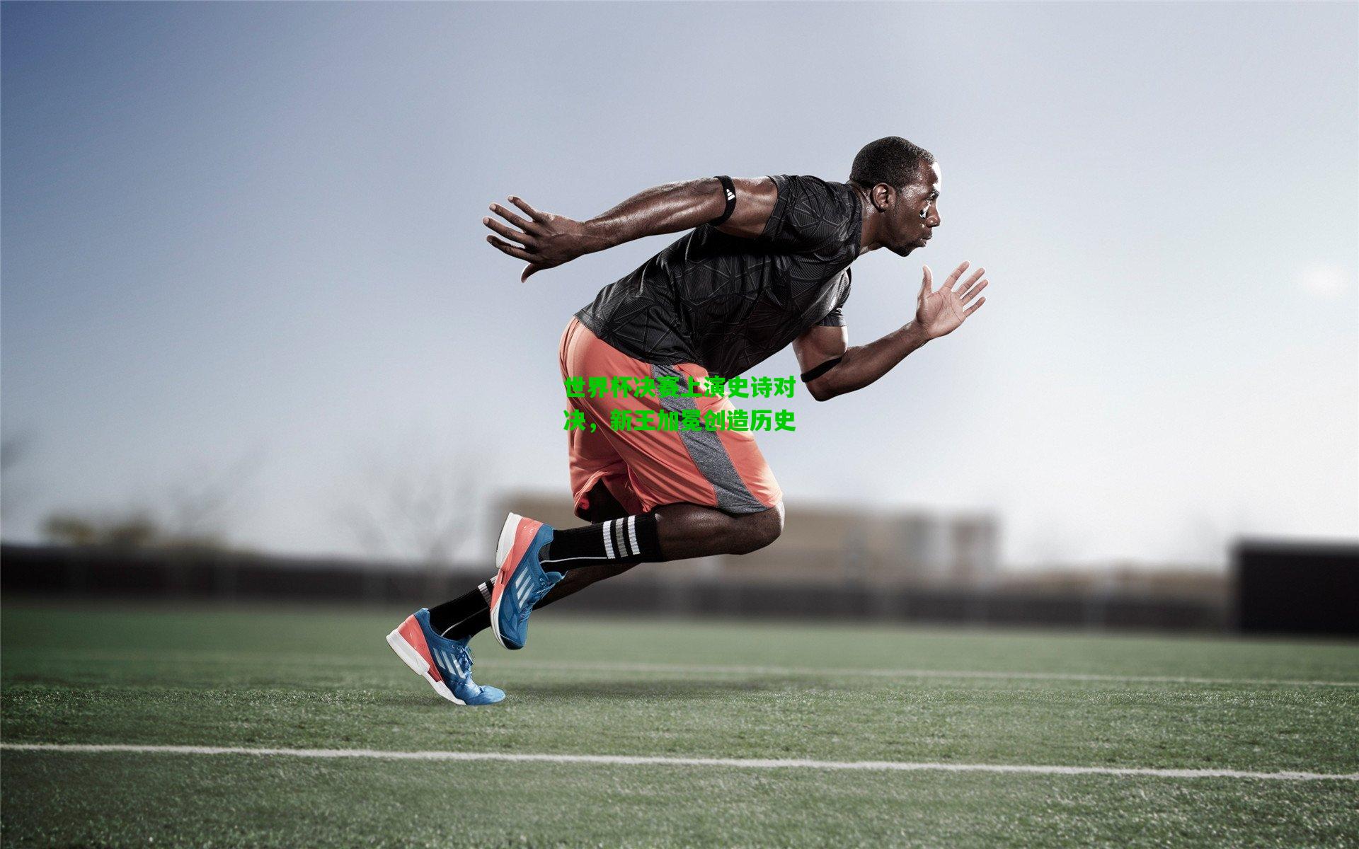 世界杯决赛上演史诗对决,新王加冕创造历史