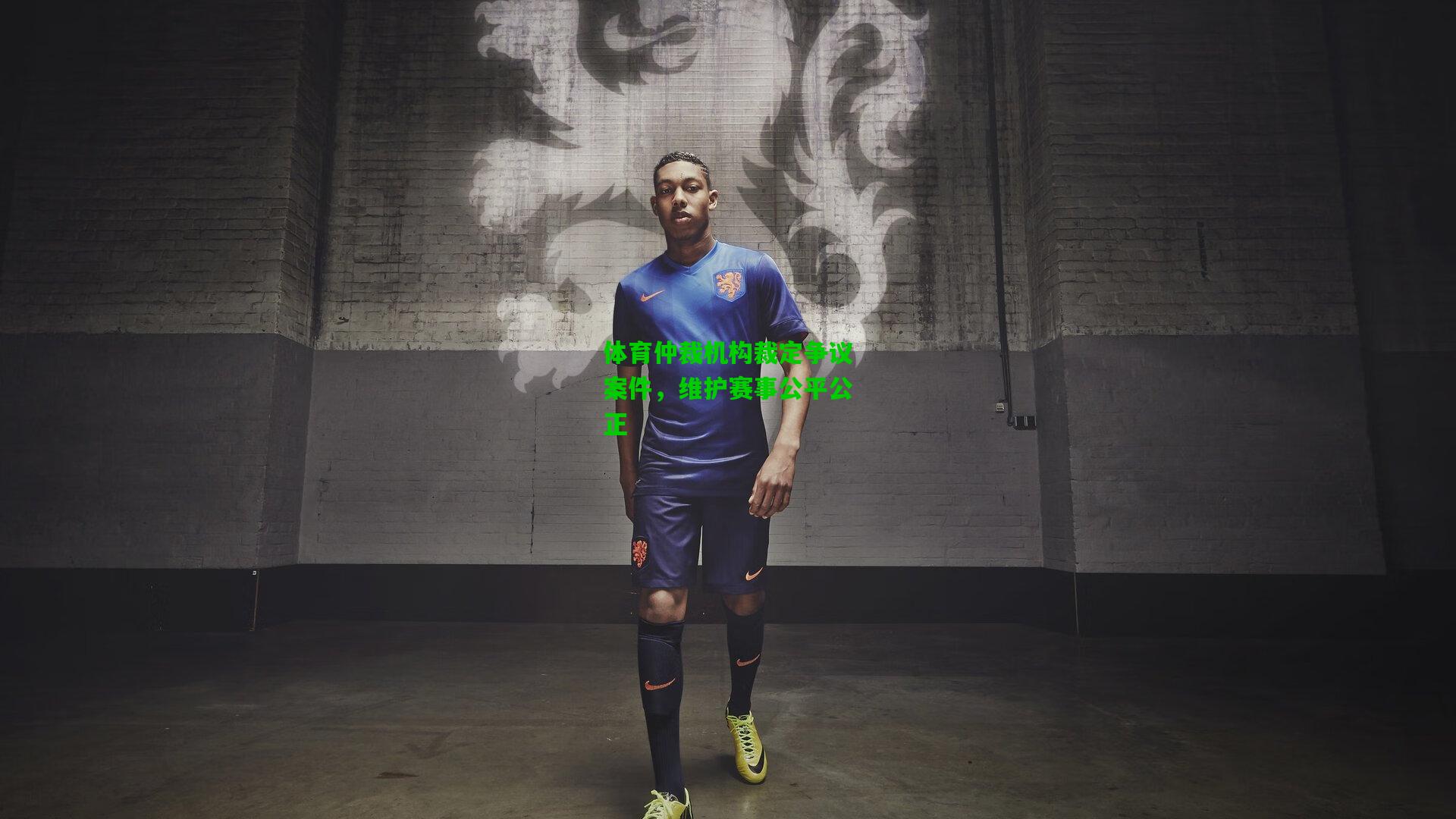 体育仲裁机构裁定争议案件,维护赛事公平公正