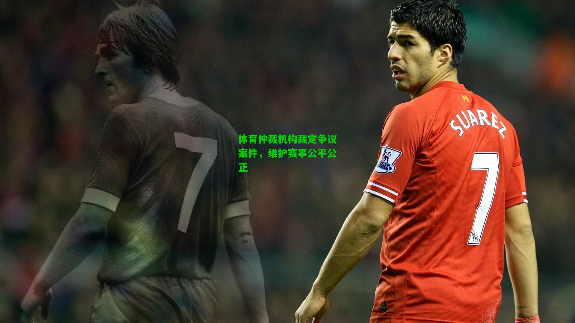 体育仲裁机构裁定争议案件,维护赛事公平公正