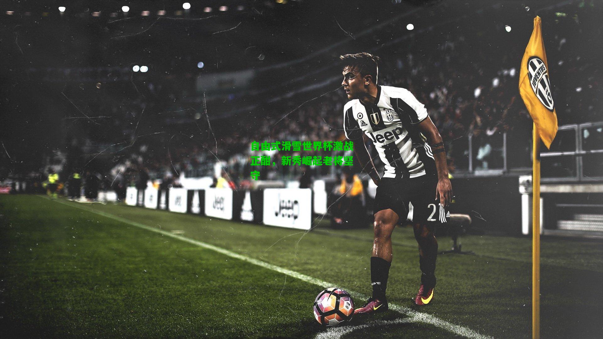 自由式滑雪世界杯激战正酣,新秀崛起老将坚守